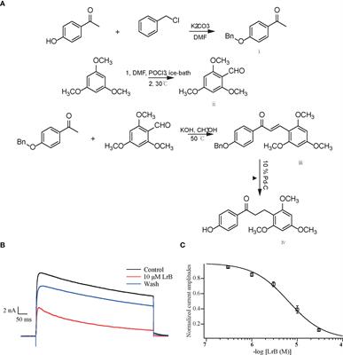 The immunosuppressive effects and mechanisms of loureirin B on collagen-induced arthritis in rats